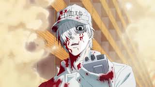 White Blood Cell VS Germs Anime Version :D