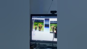 Animal recognition using ESP32-Cam #arduino #esp32cam #animalrecognition #AI #elephant