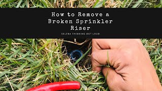 How to Remove a Broken Sprinkler Riser