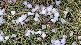 Brief Storm Drops Large Pieces of “Grauple” (Soft Hail)! Pullman, WA - 02/26/2024 screenshot 4