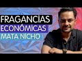 Top 6 fragancias econmicas mata nicho