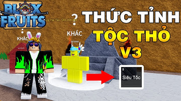 Mình Đã Thức Tỉnh Tộc Thỏ V3 Chạy Cực Nhanh || Blox Fruits!