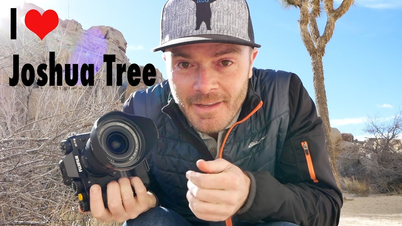 I (Heart) J Tree - Landscape Photography in Joshua Tree National Park