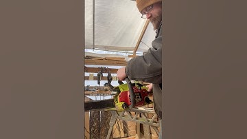 Cold starting the ported and piped Poulan chainsaw .#chainsaws