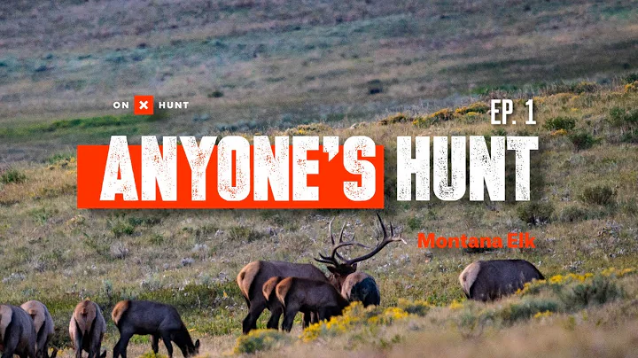 Anyone's Hunt - Montana Elk - Episode 1