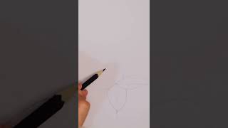 How To Sketch A Simple Flower lily