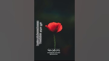 قرآن كريم 🌿تلاوة من سورة طه 🌿القارئ شريف مصطفى 🌿🤍 #قران_كريم #كرومة_سوداء #راحة_نفسية #تلاوات