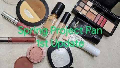 Spring Project Pan Update 1