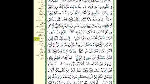 الصفحة 274 من المصحف الشريف سورة النحل مشروع حفظ لقرآن الكريم