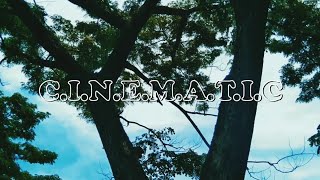 STORY WA EASTHETIC || CINEMATIC VIDEO || SINEMATIK ALAM