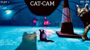 Scratching Shadows - Collar-Cam Horror Where You