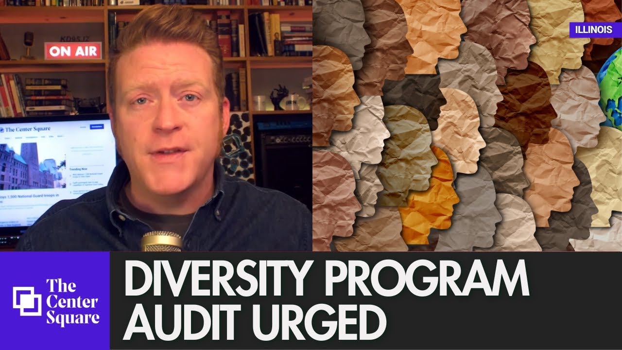 Illinois diversity program audit urged
