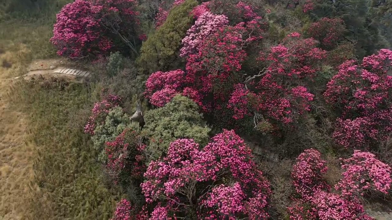 Must Visit Touristic Destination Mate Hampal @ Salija Parbat | Video By Nanda Pun | NICE TV HD