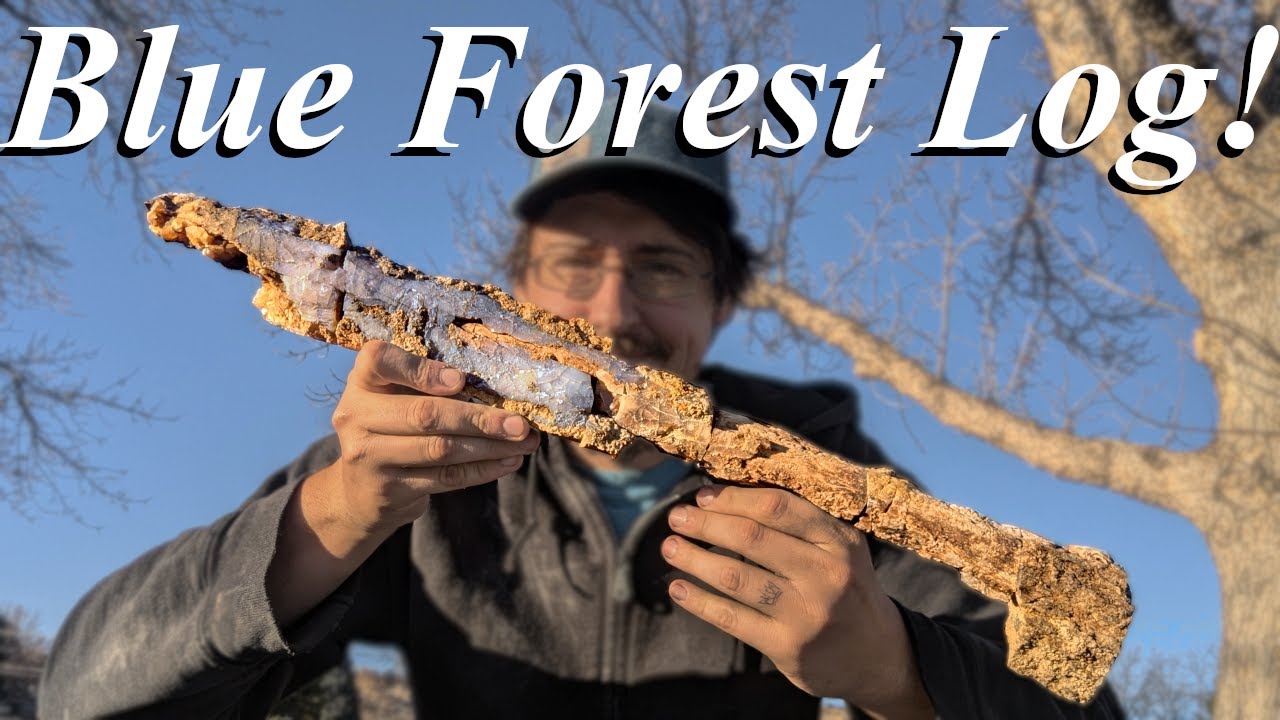 Gorgeous Blue Chalcedony & Agatized Wood Everywhere! Hunting the Blue Forest on my Bachelor Party!