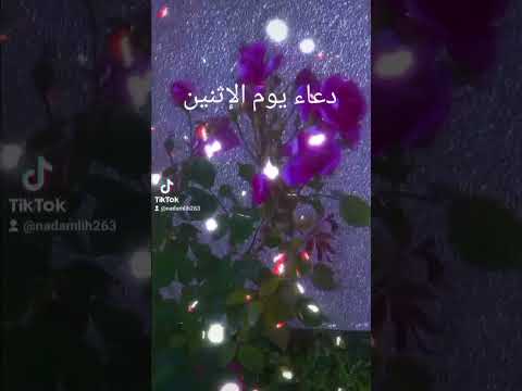 دعاء ليلة ويوم الإثنين صباح الخير لكل عزيز و غالي 