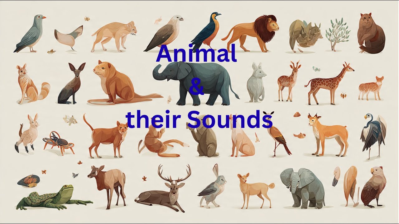 30 Animal Names with Sounds | Learn English for Kids