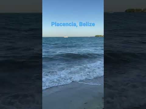 Windy Beach Day