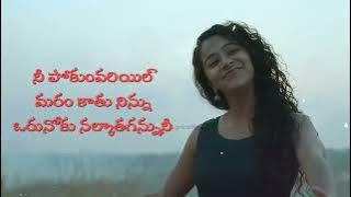 Darshana Song Lyrics Telugu || Hridayam Songs || Pranav Mohanlal, Darshana Rajendran || Malayalam