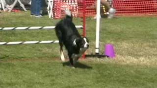 Dogs Competing in NADAC / MudPACK Agility Trial - Port Gamble  - 2009