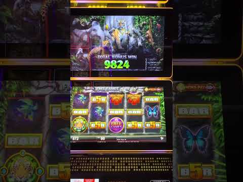 New!! ( First Attempt ) Lotus Land Deluxe Wild by Konami 6 Awsome!! Bonuses on a $5 Investmet
