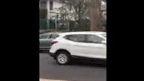 thousands of birds attack neighborhood