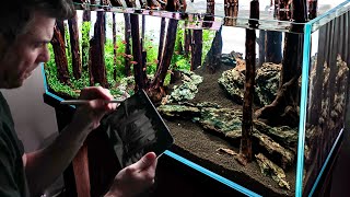 Creating A Forest Aquascape Step-By-Step Visual Guide