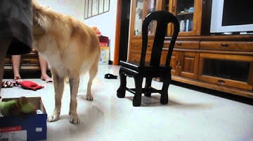 Jhao Ling Ya, Web Lesson 10, Exercise Packet 1, Exercise 3, Build a Chain Using Back-Chaining