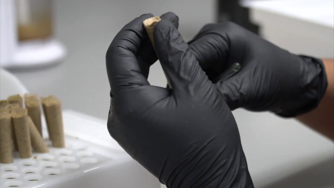 Knocking Out 100 King Size Joints On Our Futurola Knockbox!