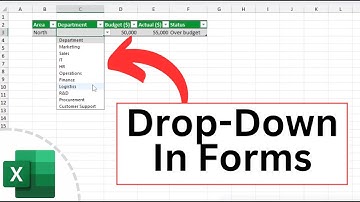 How to Add Drop Down Lists to Your Excel Data Entry Form | Easy Tutorial!