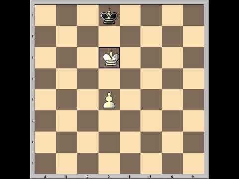 Pawn and King vs King
