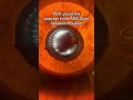 Dune Popcorn Bucket POV #newsupdate #shorts #dune #sandworm #bucket #amc #film