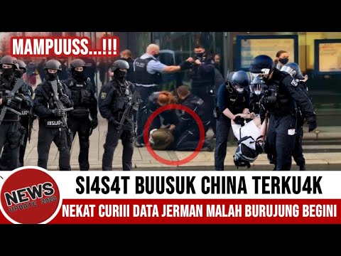 Video: Mengapa China Ingin Memusnahkan Semua Burung Pipit Dan Bagaimana Alam Menjawab - Pandangan Alternatif