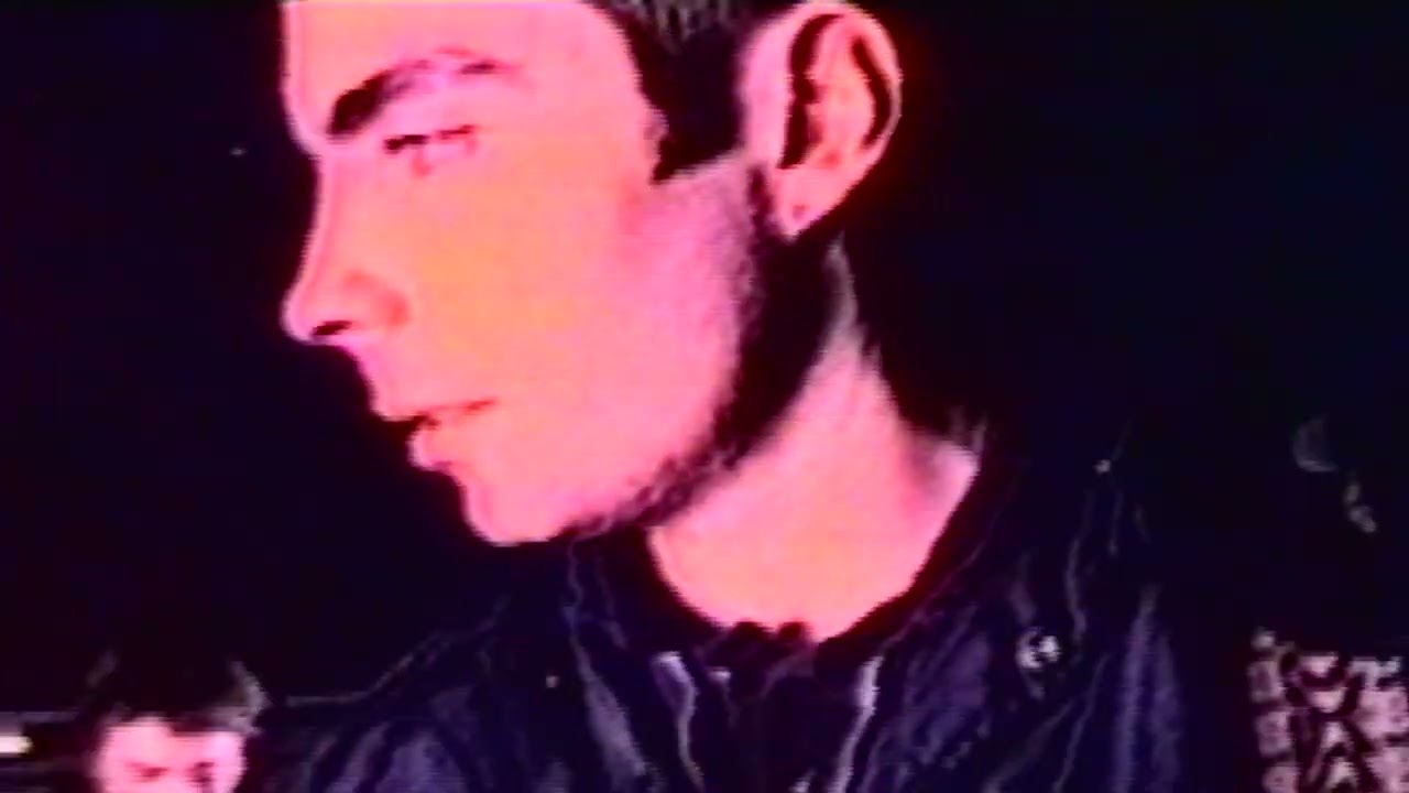 The New Fast Automatic Daffodils 'BETTER' - YouTube