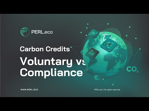 PERL Carbon Explainer 1: What are Carbon Credits?