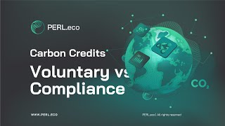 PERL Carbon Explainer 1: What are Carbon Credits?