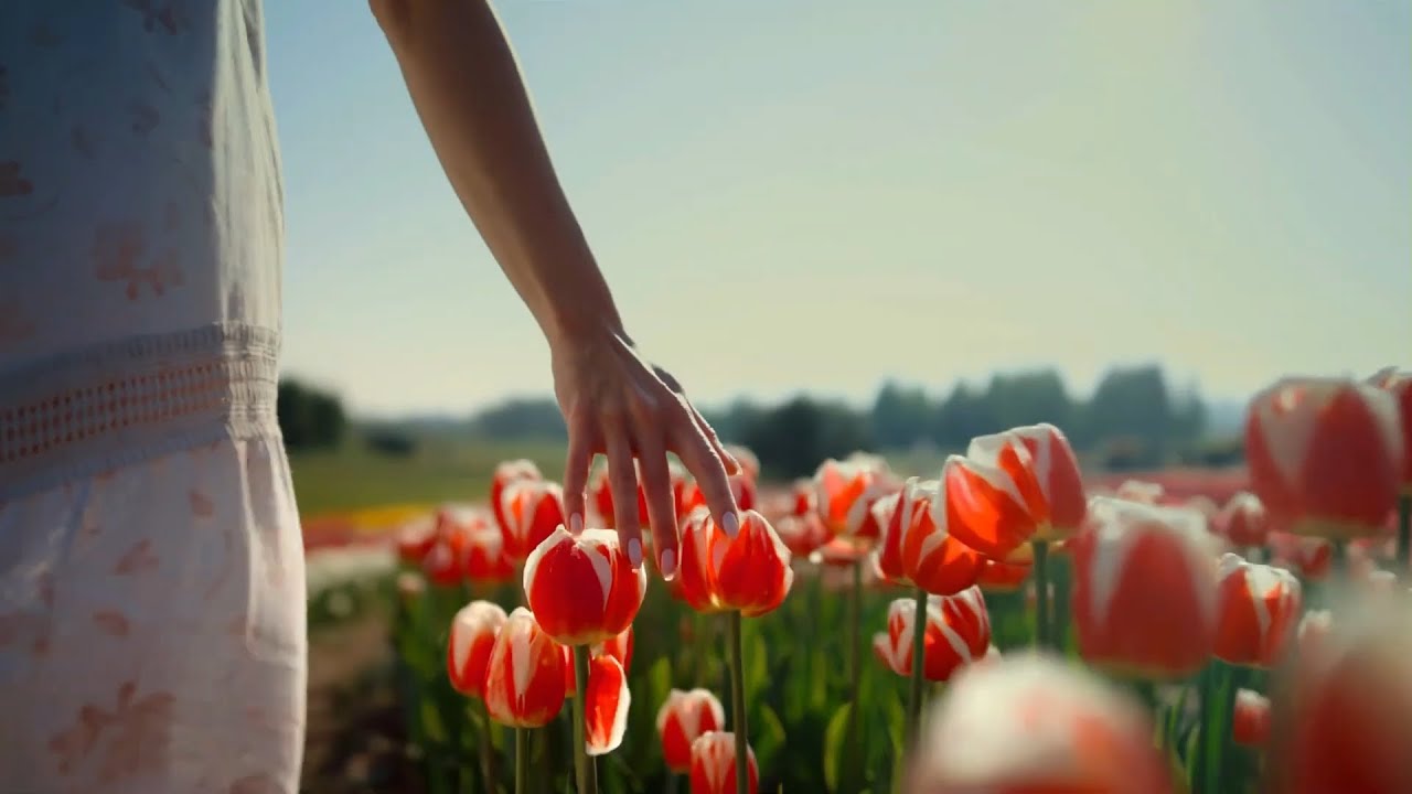 Se Busca Flautas Magicas Band YouTube