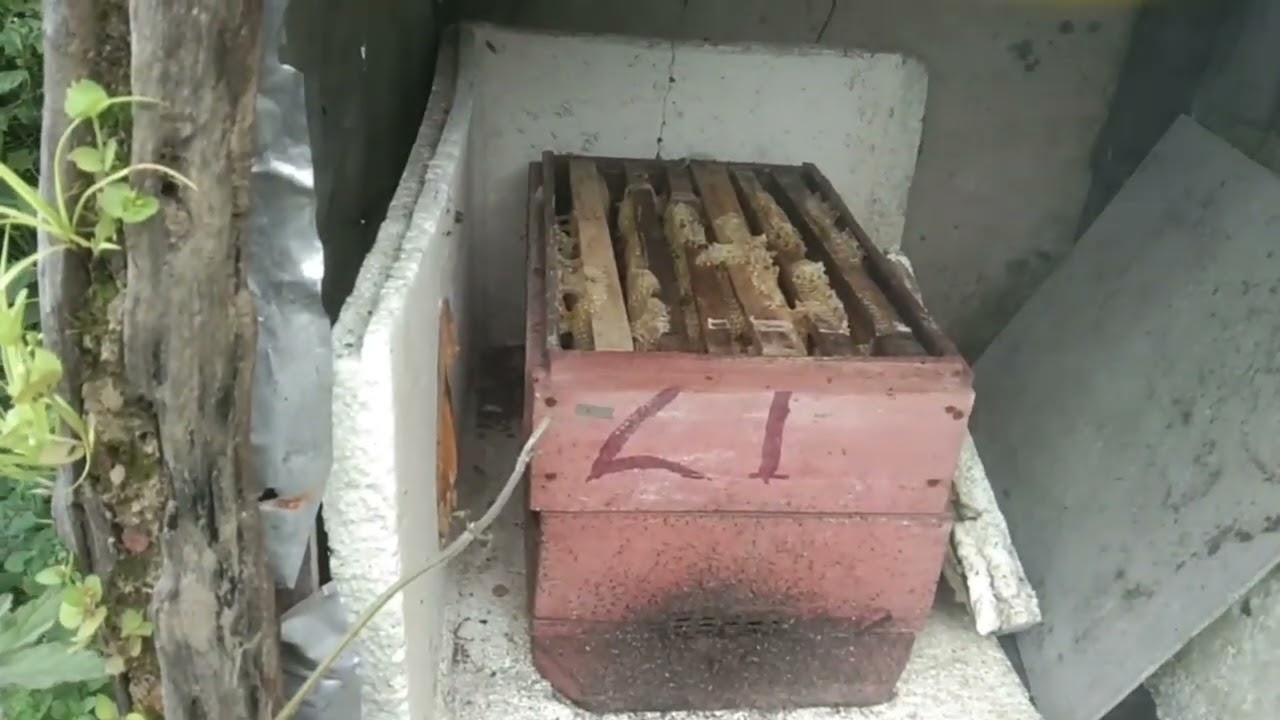 khuai thlarhlui thenfai ahun e.