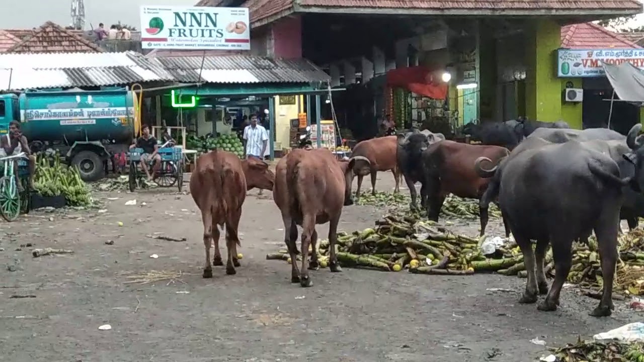 Koyambedu market YouTube