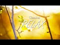 Classical music for studying 🌿 Soft classical music, music for concentration, music for  relaxation