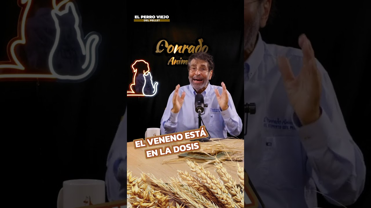 ¿El gluten es realmente malo para tu salud? Descubre la verdad sobre su consumo.Analizamos por qué el exceso de gluten es perjudicial y cómo la industria alimentaria abusa de este componente por su bajo costo proteico. Aprende a diferenciar entre un consumo moderado y los riesgos de una dieta basada en ingredientes procesados.Suscríbete para aprender a comer mejor y comenta qué otro alimento deberíamos analizar.Abajo te dejo el enlace de mis propios Pellets Prensados en Frío, formulados con ingredientes de la máxima calidad y respetando la naturaleza de tu compañero de 4 patas.👇 CONSIGUE AQUÍ TU SACO DE CONRADO ANIMALERO (Pollo y Arenque):
🔗 https://laravital.com/es/piensos/conrado-animalero/conrado-animalero-pollo-y-arenque.html#/21-peso-5kg