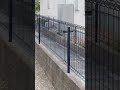 お庭のリフォームBefore＆After #Shorts