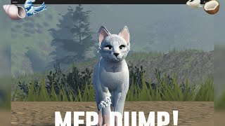 Mep dump!!