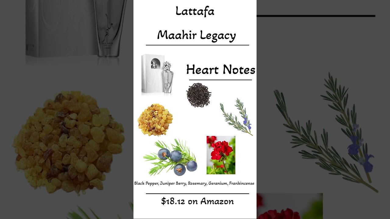 Affordable colognes like this in bio! 