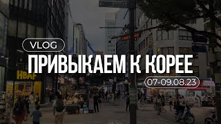 ПРИВЫКАЕМ К КОРЕЕ // ДВАЖДЫ ПОТЕРЯЛИСЬ, ОГРОМНЫЙ ФИКСПРАЙС, ГЛАВНАЯ ТОРГОВАЯ УЛОЧКА И БАШНЯ НАМСАН