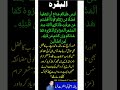 Read Quran 