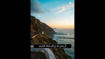 سورة يونس | الآية 58 | الشيخ ياسر الدوسري | #القرآن_الكريم #قرآن_كريم 25/8/1442