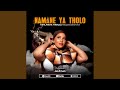 Namane Ya Tholo Namane Ya Tholo