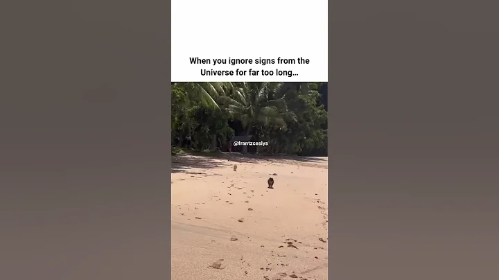 When You IGNORE the Signs #universe #healingjourney