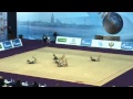 Finland 10 clubs. RG WC Saint Petersburg 2013