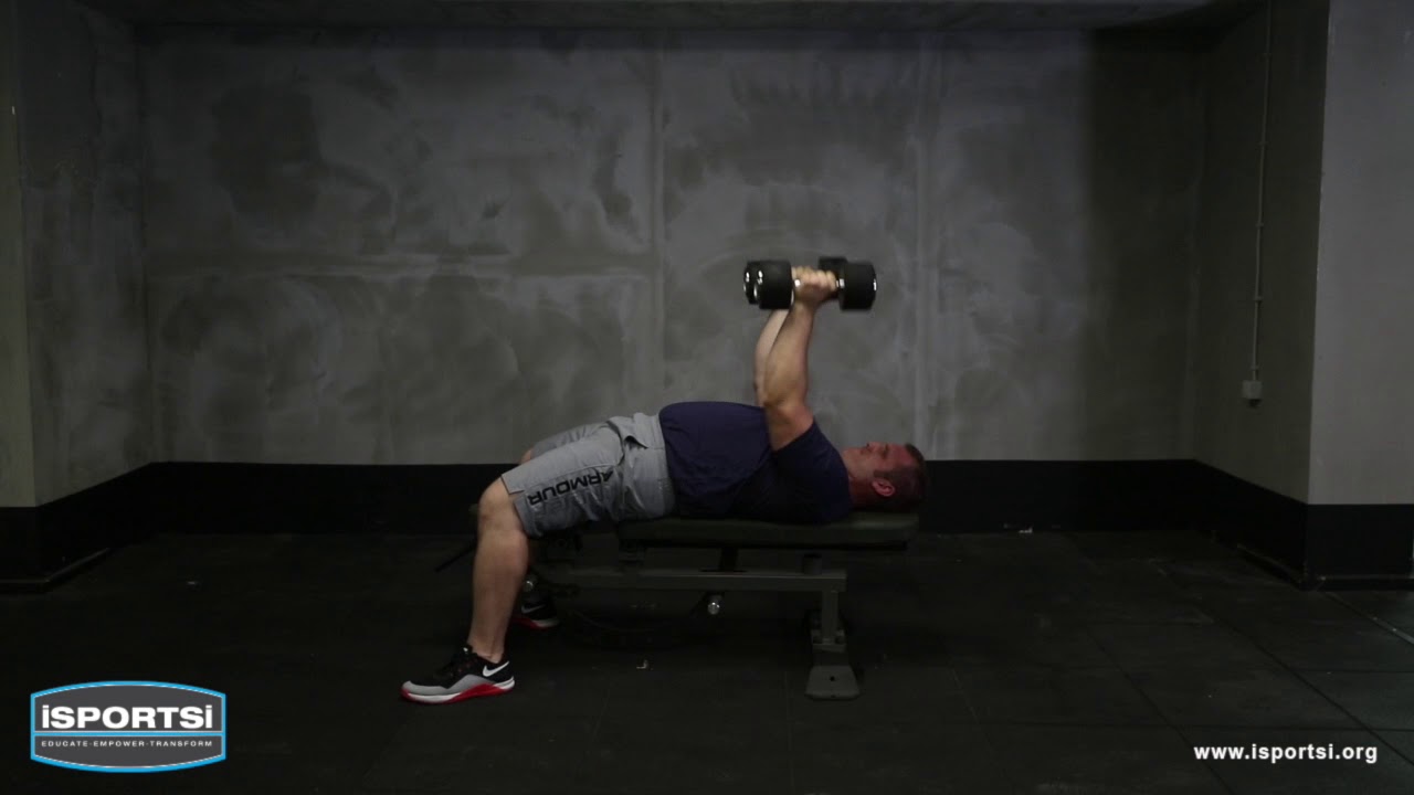 conditioning sport DB Rollbacks